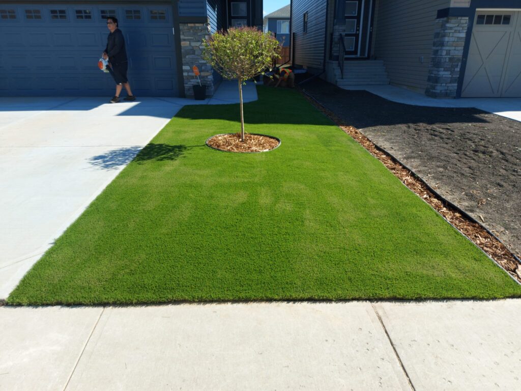 Backyard turf installation